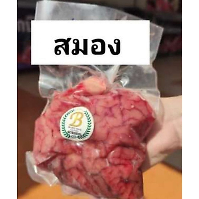 สมองวัว ฮาลาล [Cow brain] ทำได้หลายเมนู อร่อยมั่กๆ หนักถึง 1 กิโล ส่งฟรี