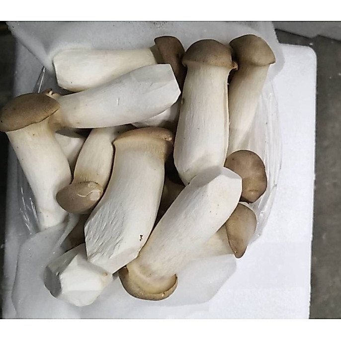 เห็ดออรินจิ ขนาด1กิโลกรัม 90บาท