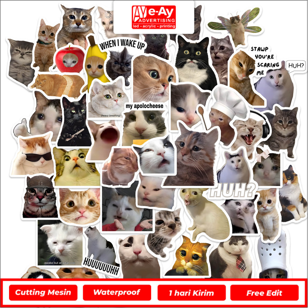 Eayadvertising - 50 ชิ้น CAT MEME STICKERS ST103 CUTE CAT