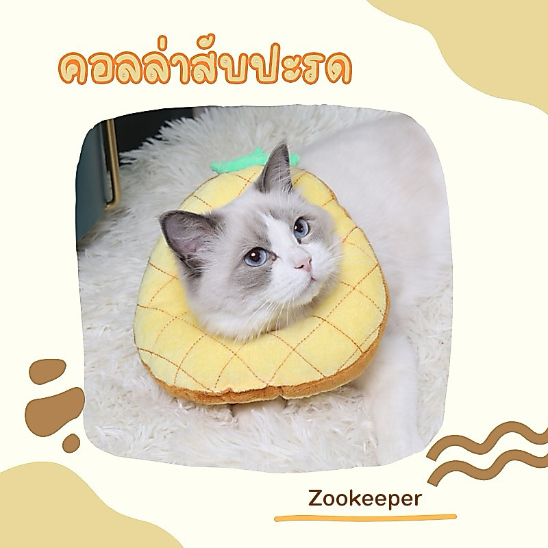 คอลล่าผลไม้สุดน่ารัก สำหรับน้องหมาน้องแมว (สินค้าพร้อมส่งจากไทย🇹🇭)