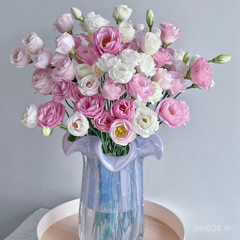 ฐานน้ำ Gentian และ Bellflower ดอกไม้สดจาก Kunming สำหรับช่อขายส่ง