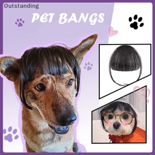 วิกผมตลกที่โดดเด่น Trimmable วิกผมสัตว์เลี้ยงอุปกรณ์วิกผมตกแ…