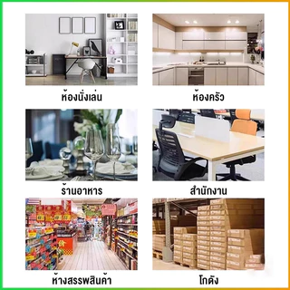 ลูกเหม็นไล่หนู ไล่หนู เบือหนู แรงๆ แห้ง 5 เม็ด / 10 เม็ด ต่อถุง Anti Rat Tool