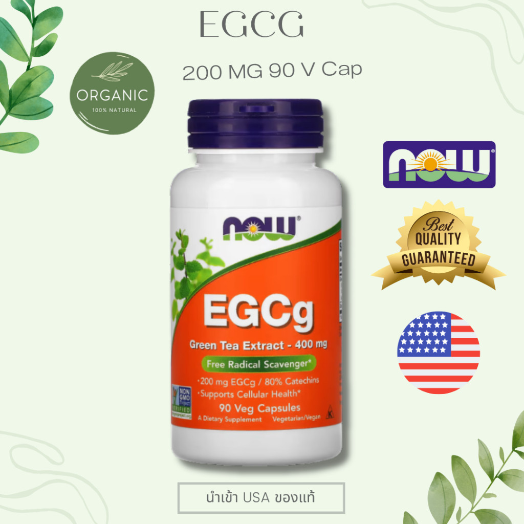 [พร้อมจัดส่ง] EGCg Green Tea Extract สารสกัดชาเขียว 400mg เหมาะกับผู้ที่กำลังควบคุมอาหาร/ดูแลรูปร่างอย่างเหมาะสม NOW
