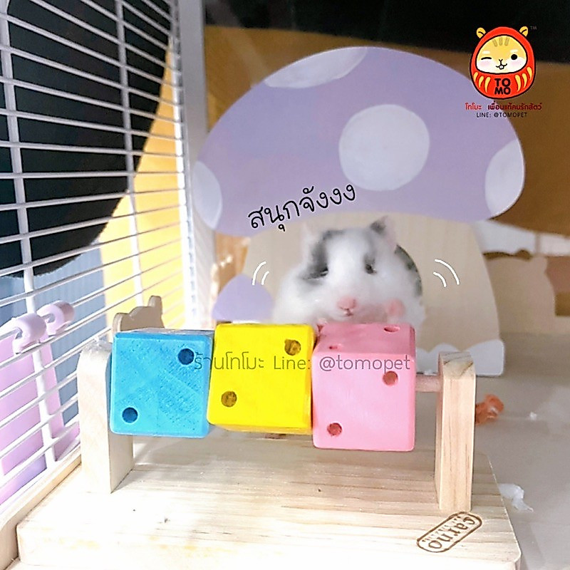 ร้านโทโมะ 💕 ของเล่นแฮมสเตอร์ ของแต่งกรง Carno ลูกเต๋าคาโน่ บ้านหนูแฮมสเตอร์แคระ