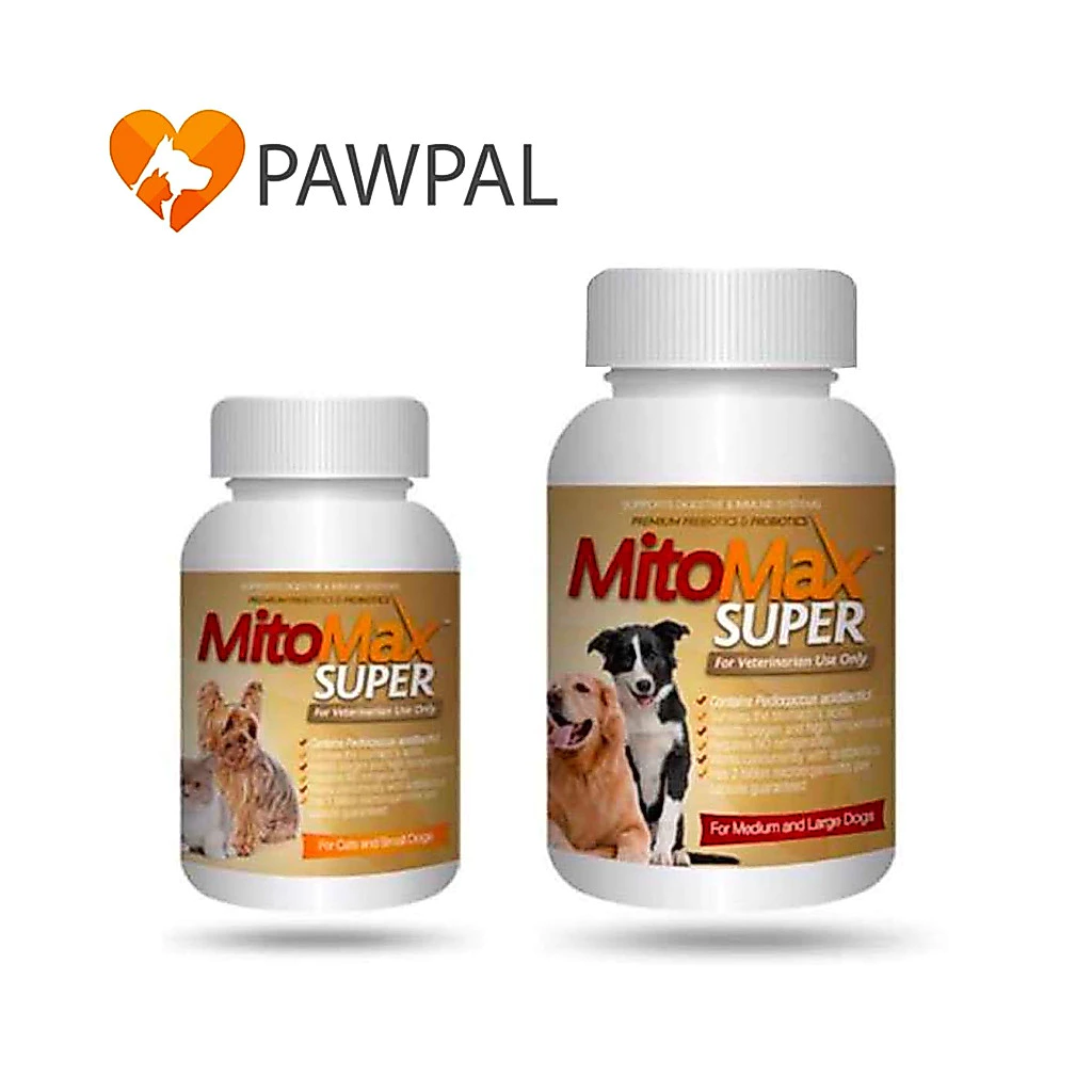 Mitomax Super Small Medium 🔥Exp.2028 Probiotic Prebiotic โปรไบโอติก อาหารเสริม ช่วยย่อย สุนัข แมว (1 กระปุก 30 แคปซูล)