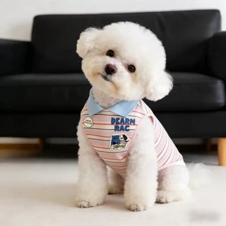 เสื้อกั๊กคอปกสัตว์เลี้ยง ผ้าบางฤดูร้อน สำหรับสุนัขแมวพันธุ์เล็ก มอลทีส ยอร์กเชียร์ ระบายอากาศสบายตัว