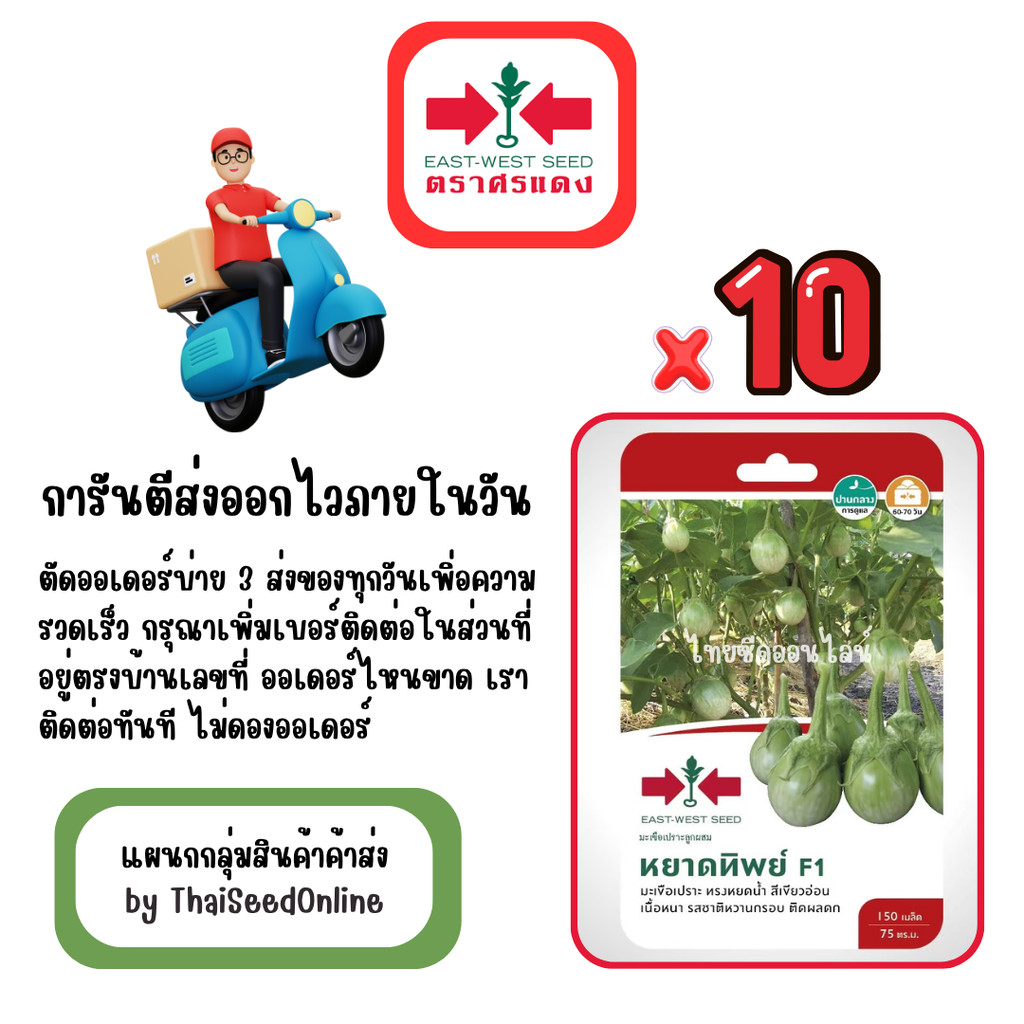 GG x 10 เมล็ดผักซองศรแดง หยาดทิพย์ มะเขือเปราะ สินค้ายกแพ็ค