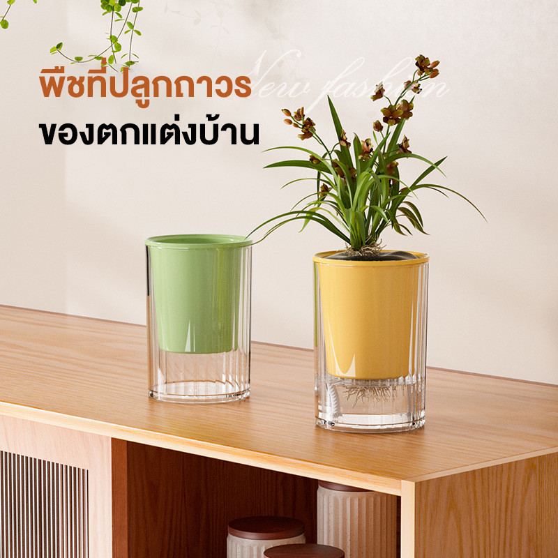 กระถางดอกไม้ไฮโดรโปนิกส์ ดอกไม้หม้ออัตโนมัติ แฟชั่นสมัยใหม่ กระถางดอกไม้ตั้งโต๊ะ ง่ายต่อการบำรุงรักษา - รูปที่ 3