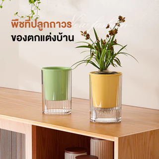 กระถางดอกไม้ไฮโดรโปนิกส์ ดอกไม้หม้ออัตโนมัติ แฟชั่นสมัยใหม่ กระถางดอกไม้ตั้งโต๊ะ ง่ายต่อการบำรุงรักษา