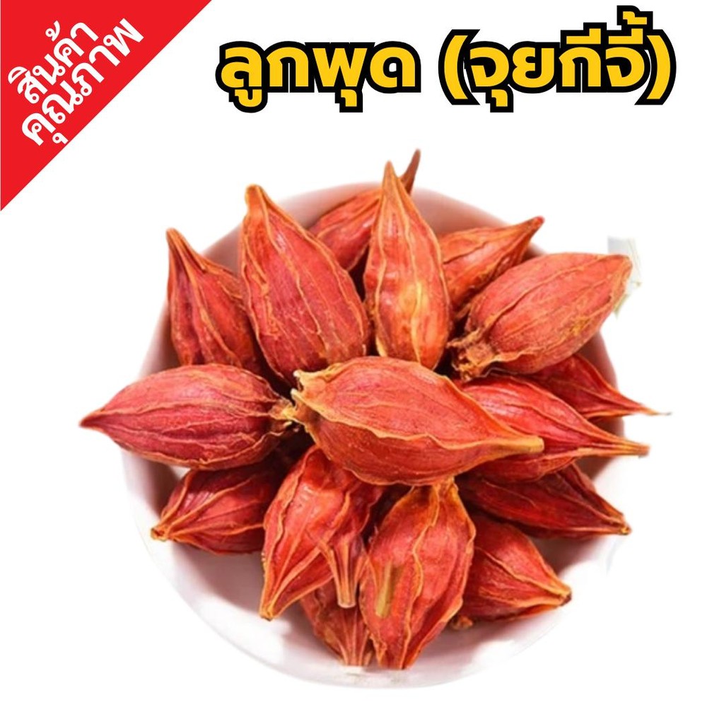 เม็ดเก็กฮวยจุยกีจี้水枝子 เม็ดสีเม็ดเก็กฮวย กีจี้ เม็ดเก็กฮวย เม็ดสี ลูกพุด เม็ดพุด Gardenia Fruit เม็ดพุด ลูกพุด เม็ดเก็กฮ