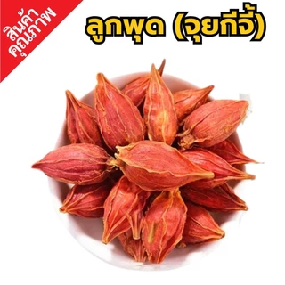 เม็ดพุด จุยกีจี้ เม็ดสีเก็กฮวย | Gardenia Fruit | SuperSpice