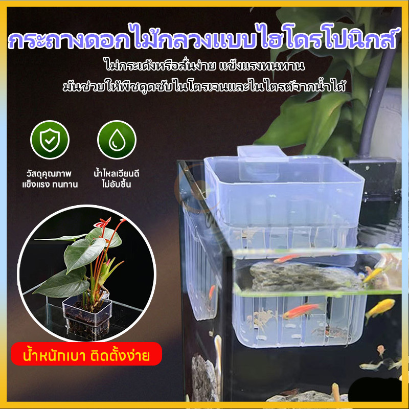 ตะกร้าปลูกพืชน้ำ ตะกร้าปลูกผักบนตู้ปลา กระเช้าปลูกพืชตู้ปลา ใสสะอาด ติดตั้งง่าย ไม่ทำลายกระจก ช่วยกรองน้ำใส