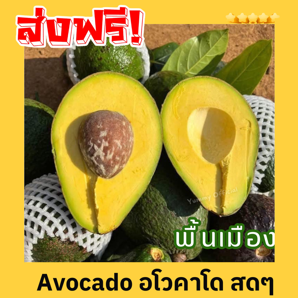 ‼️ จัดดส่งฟรี!!! Avocado อโวคาโด =1กิโลกรัม= พันธุ์บัคคาเนีย บัคคาเนีย แฮส ปีเตอร์สัน อโวคาโด้ อโวคาโด อะโวคาโดสด