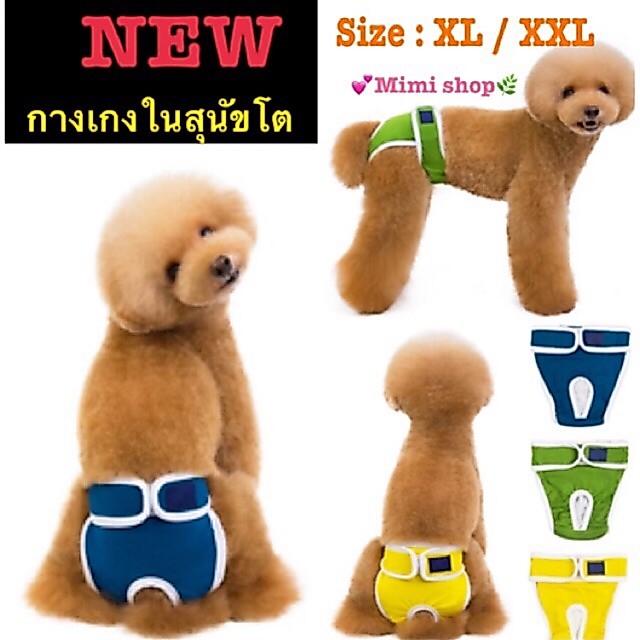 NEW : กางเกงในสุนัขโต Dog*lovely ของแท้ *สีสดใส น่ารัก😍❤️🐶