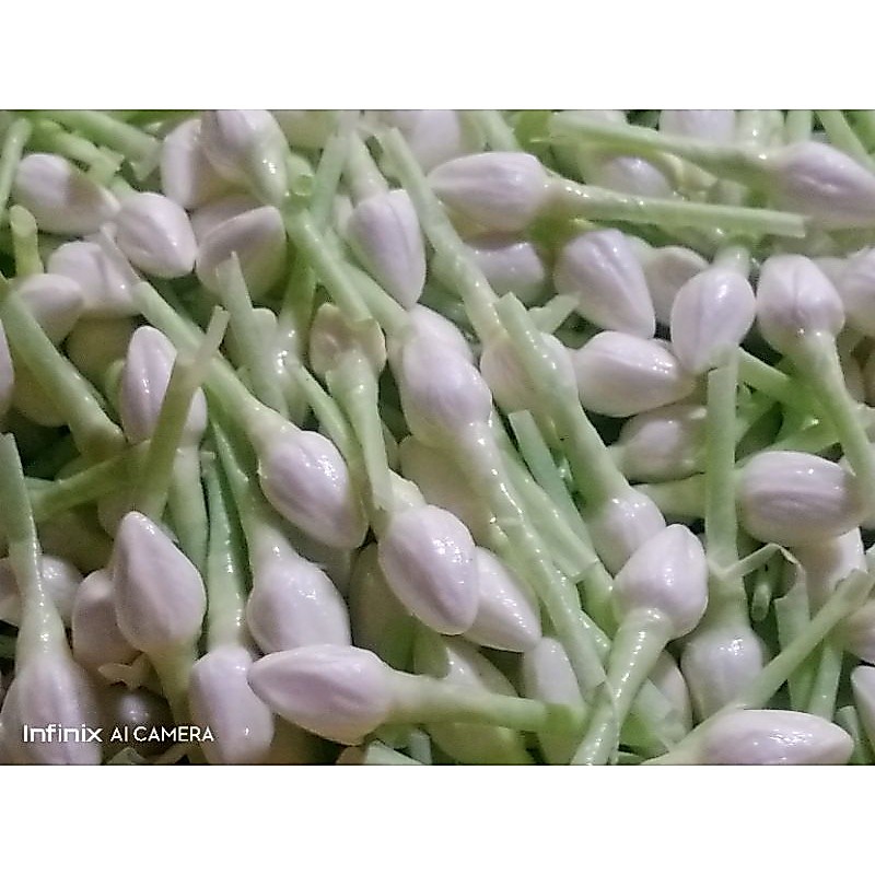 มะลิทิชชู่หอม แบบแพค500 ดอก