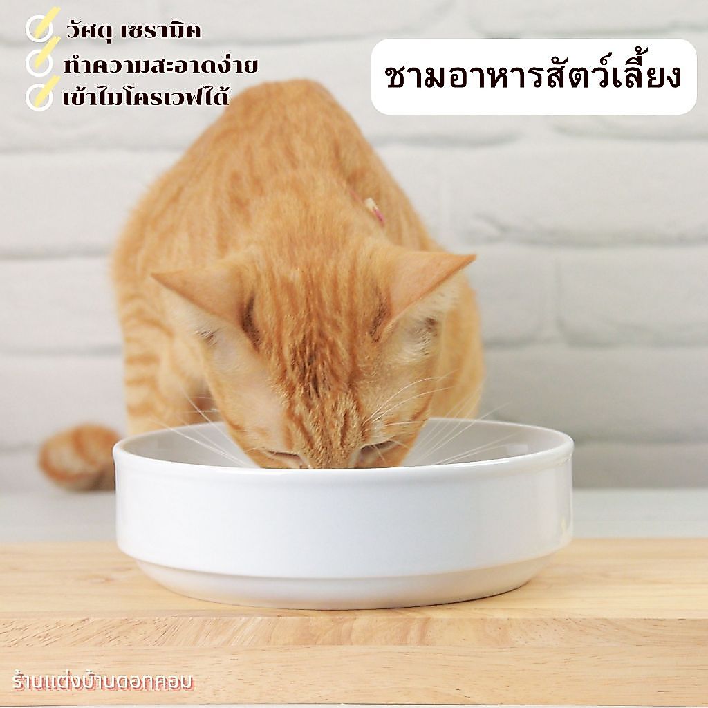 Pet food bowl ชามเซรามิคใส่อาหารหมาแมว ชามใส่อาหารสัตว์เลี้ยง