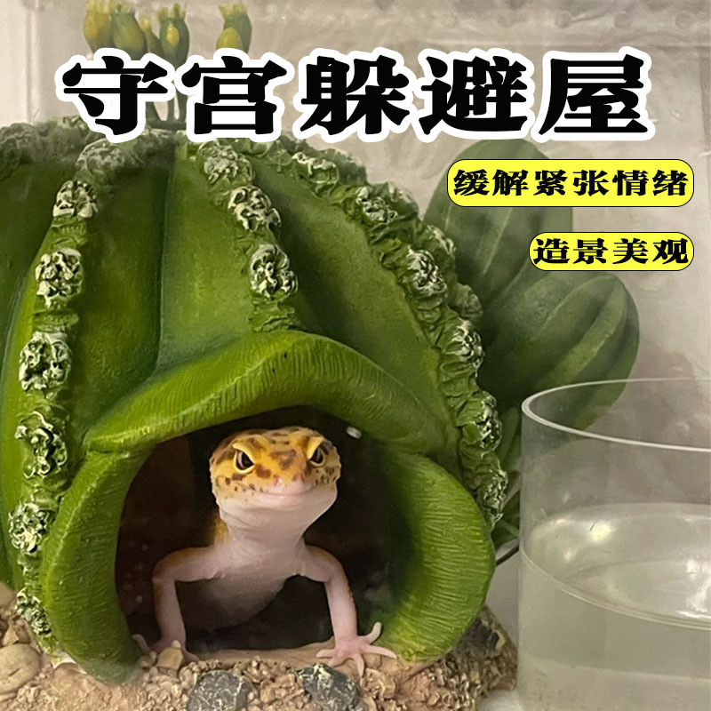 Gecko Hide House Drying Platform Climbing Platform ของเล่น Lizard Leopard Print Eyelashes Gecko Snak