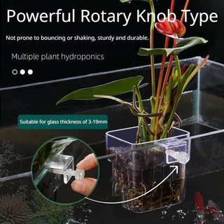 TOPOP CLUB Aquarium Plant Pots Water Plant โปร่งแสงถังปลาพืชถ้วย Hangable Aquatic Plant Holder