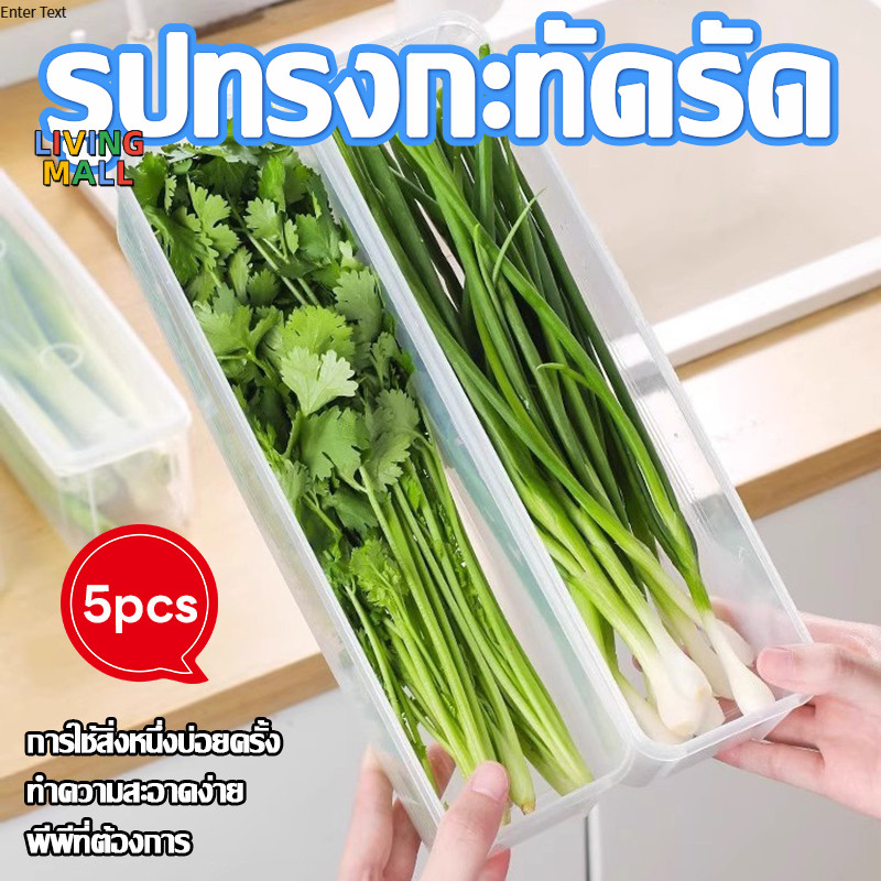 🥬LIVING🥬กล่องเก็บของนำเข้า กล่องเก็บผักชีและต้นหอม สามารถเก็บผักชีและต้นหอมให้สด ป้องกันฝุ่นและความชื้น เกรดอาหาร