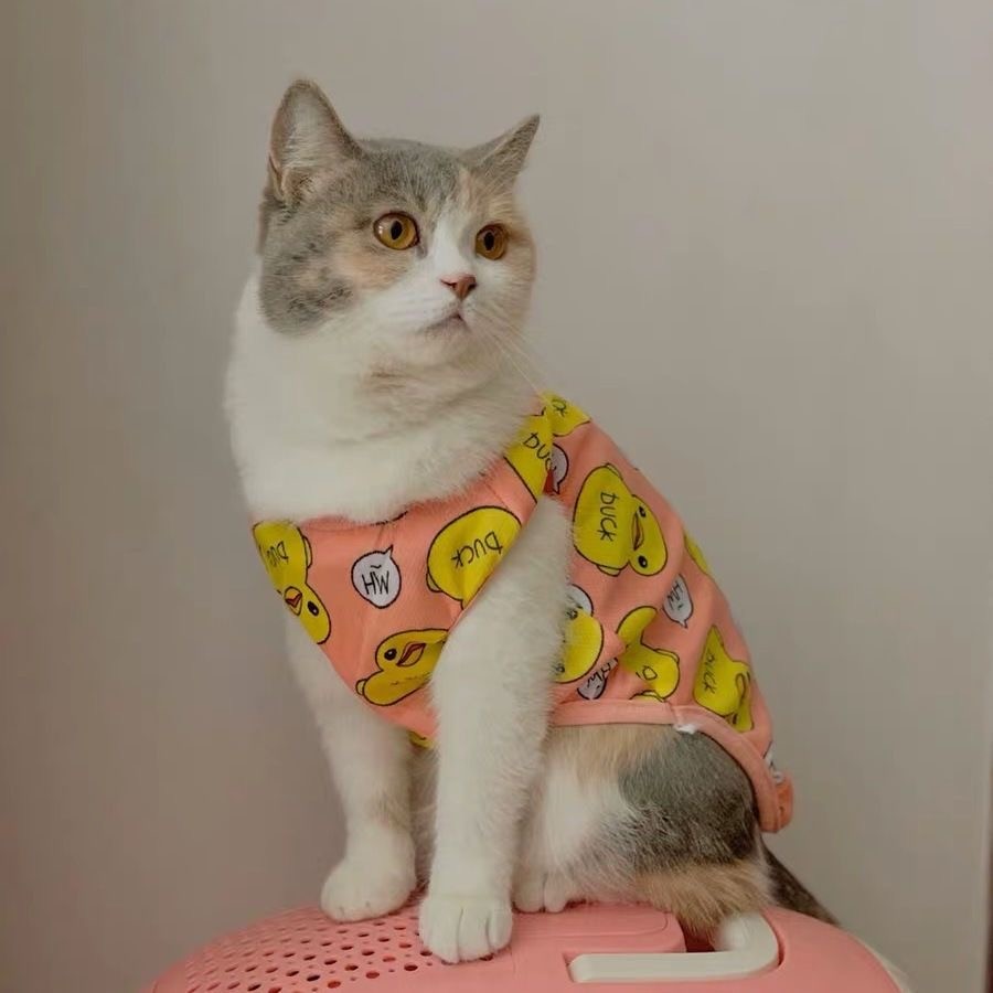 น่ารักเสื้อผ้าสุนัขนุ่มลูกสุนัขชุดนอนชุดเสื้อผ้าสัตว์เลี้ยงสําหรับสุนัขขนาดเล็กเสื้อยืดฤดูใบไม้ผลิฤดูร้อน ยอร์คกี้ ชิวาวาเสื้อผ้ - รูปที่ 4