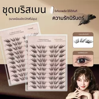 【สินค้าใหม่】ขนตาปลอมกาวในตัว บาง เบา ทรงสวยจึ้ง มีครบทุกลุค เหมาะกับทุกสไตล์