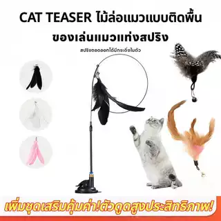【PetZap】ไม้ล่อแมวติดกระจก ของเล่นแมวแก้เบื่อ ฐานดูดสูญญากาศ ด้ามยาว แมวเล่นสนุก COD CW-035