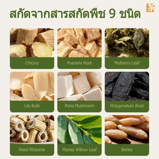 1แถม1 Expceชาสมุนไพร9ส่วนผสมสารประกอบจากธรรมชาติ,มาตรฐานการปรุงอาหารที่อ่อนโยน-เครื่องดื่มสมุนไพรเพื่อสุขภาพดีในทุกวัน