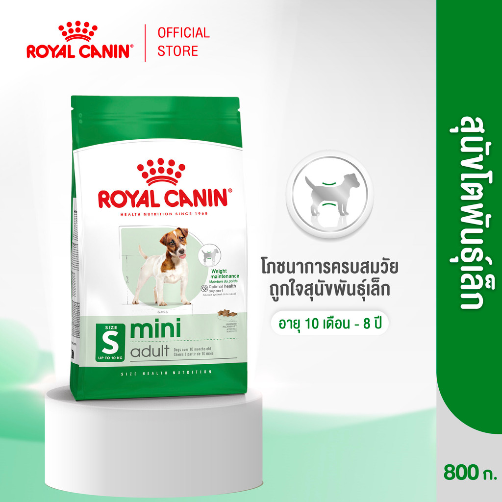 Royal Canin Mini Adult 800g อาหารเม็ดสุนัขโต พันธุ์เล็ก อายุ 10 เดือน–8ปี (Dry Dog Food, โรยัล คานิน)