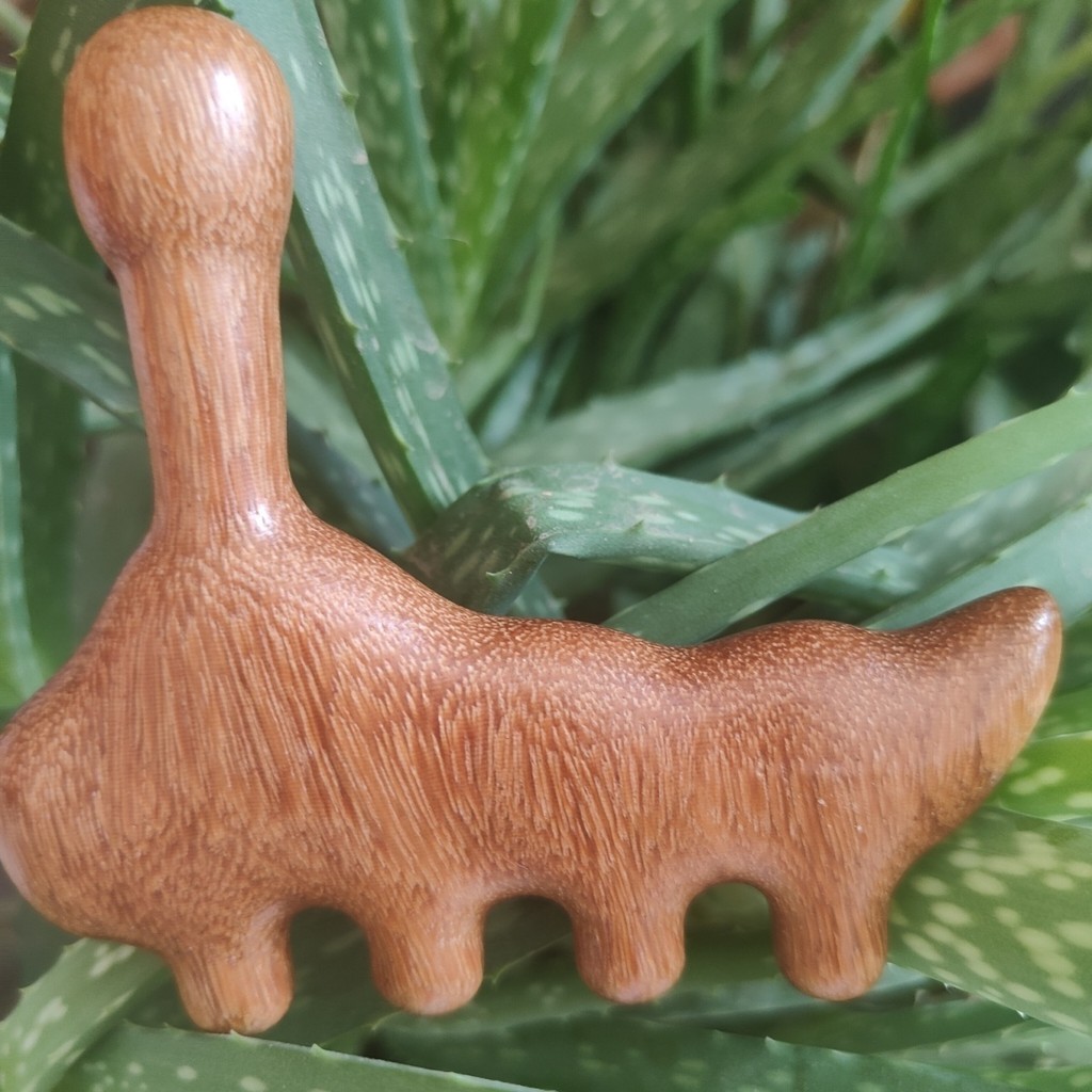 ไม้จันทน์เท้าเครื่องมือไหล่คอจุดฝังเข็มฝังเข็มนิ้วขุดลอกกดนวดกล้ามเนื้อเมริเดียน-ครั้งที่สอง15/นวดเท