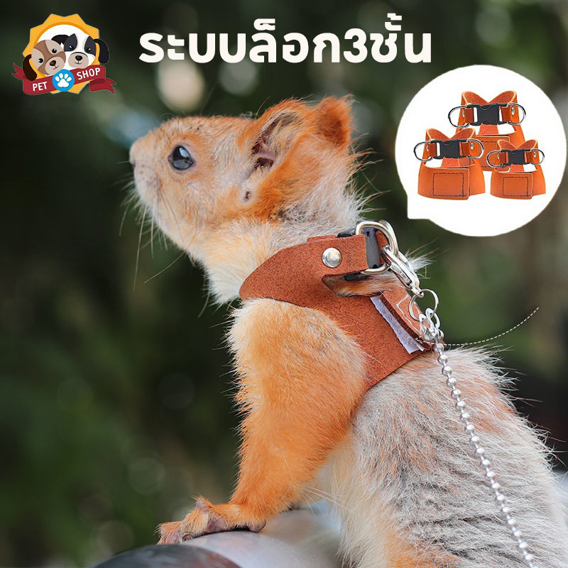เชือกจูงสัตว์เลี้ยง สายจูงสัตว์เล็ก หนูแฮมสเตอร์ กระรอก ระบบล็อก3ชั้น วัสดุกันลม ป้องกันหลุดหาย