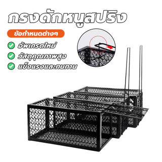 กับดักหนูสปริงคู่หนา กรงดักหนูพร้อมกรอบ กรงดักหนู นำกลับมาใช้ใหม่ได้ รับน้ำหนักได้ดี แรงกัดที่เพิ่มขึ้น ปิดเร็ว