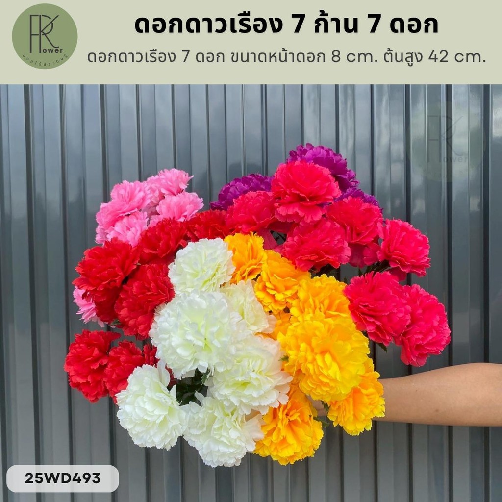 ดอกดาวเรือง 7 ก้าน 7 ดอก ขนาดหน้าดอก 8 cm. ต้นสูง 42 cm.