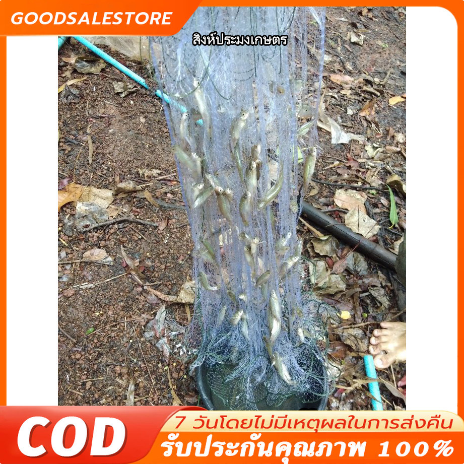 COD ดางปลาซิว ใยบัว อวนปลาซิว ตาข่ายดักปลา ข่ายดักปลา ข่ายดักปลาซิว มองปลาซิว ปลาซิว ดักปลา พร้อมใช้งาน