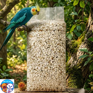 (Safflower Seeds) เมล็ดดอกคำฝอย สำหรับนกแก้วทุกสายพันธุ์ และสัตว์ฟันแทะ 1 kg.