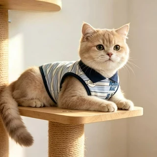 เสื้อกั๊กคอปกสัตว์เลี้ยง ผ้าบางฤดูร้อน สำหรับสุนัขแมวพันธุ์เล็ก มอลทีส ยอร์กเชียร์ ระบายอากาศสบายตัว