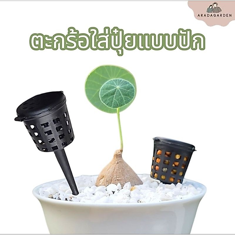 ตะกร้อใส่ปุ๋ยแบบปักดิน