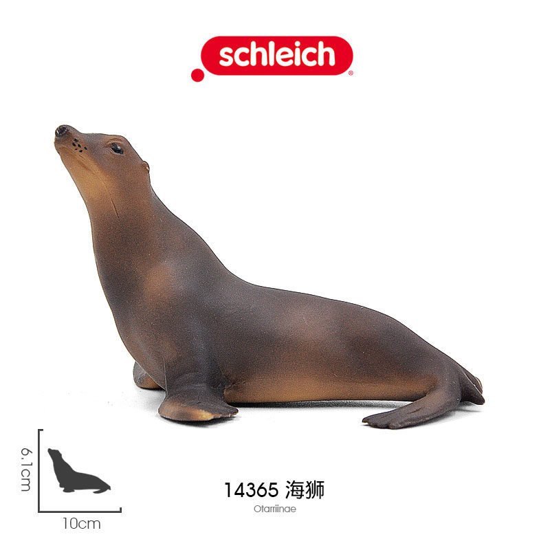 Schich Sea Lion 14365 ของแท้ Marine Life สัตว์ป่าจําลองโมเดลของเล่นขนาดเล็ก R1TD