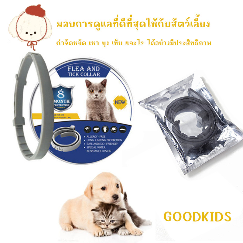 STOCK ปลอกคอกำจัดเห็บหมัด สำหรับสุนัขและแมว ปรับความยาวได้ ป้องกันแมลง夏ฤดูร้อน ราคา ถูกที่สุด ดีลบีเคเค แกลเลอรีภาพที่ 6
