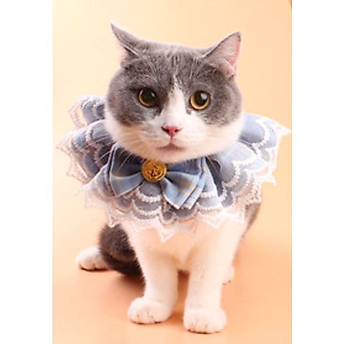 [ ABC cat ] [ ปลอกคอ 069 ] ปลอกคอสัตว์เลี้ยง ผ้าพันคอแมว เครื่องประดับสัตว์เลี้ยง
