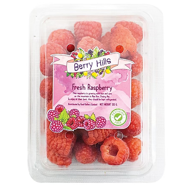 ราสเบอร์รี่ สายพันธุ์ฮอลแลนด์ /Raspberry