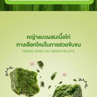 😺หญ้าแมวฟรีซดราย 100g ช่วยขับก้อนขน บำรุงระบบย่อย อาหารเสริมแมวธรรมชาติ
