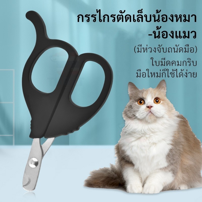 THPET กรรไกรตัดเล็บน้องหมา น้องแมว ด้ามจับถนัดมือ น้ำหนักเบา ตัดง่าย ไม่เจ็บเล็บ สีสุ่มส่ง (สัตว์เลี้ยง)