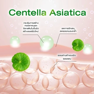 โปร 2 ชิ้น ( เจลใบบัวบก + เจลมะเขือเทศ ) Cica & Tomato Revitalizing Gel 50g.