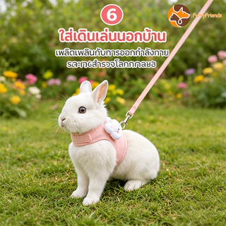 สายจูงกระต่าย ของใช้กระต่าย เชือกลากกระต่าย สะดวกสบาย ระบายอากาศ มีฤดูกาลทั้งสี่