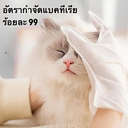 📍ถุงมือสัตว์เลี้ยงแบบใช้แล้วทิ้ง สัตว์เลี้ยงอาบน้ำ ดับกลิ่น ดูแลผิวสุนัขและแมว ถุงมือทำความสะอาด ถุงมืออาบน้ำ ดูแลขน
