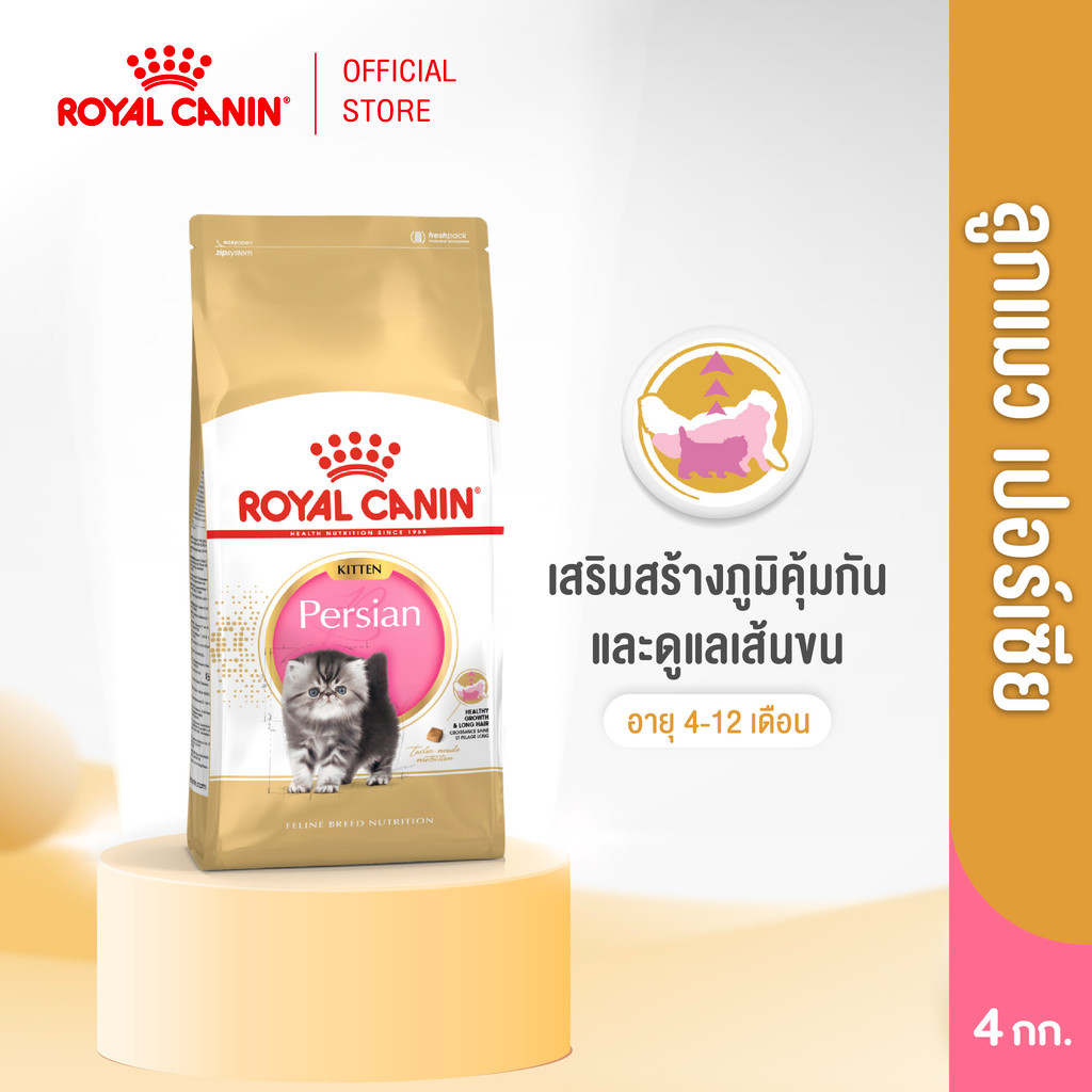 Royal Canin Kitten Persian 4kg อาหารเม็ดลูกแมว พันธุ์เปอร์เซียน อายุ 4-12 เดือน (Dry Cat Food, โรยัล คานิน)