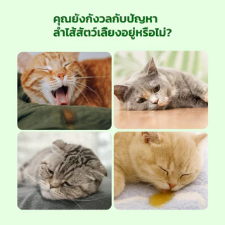THSPET 70g อาหารสัตว์เลี้ยงเปียก รสไก่ แซลมอน และน้ำฟักทอง สูตรควบคุมก้อนขน