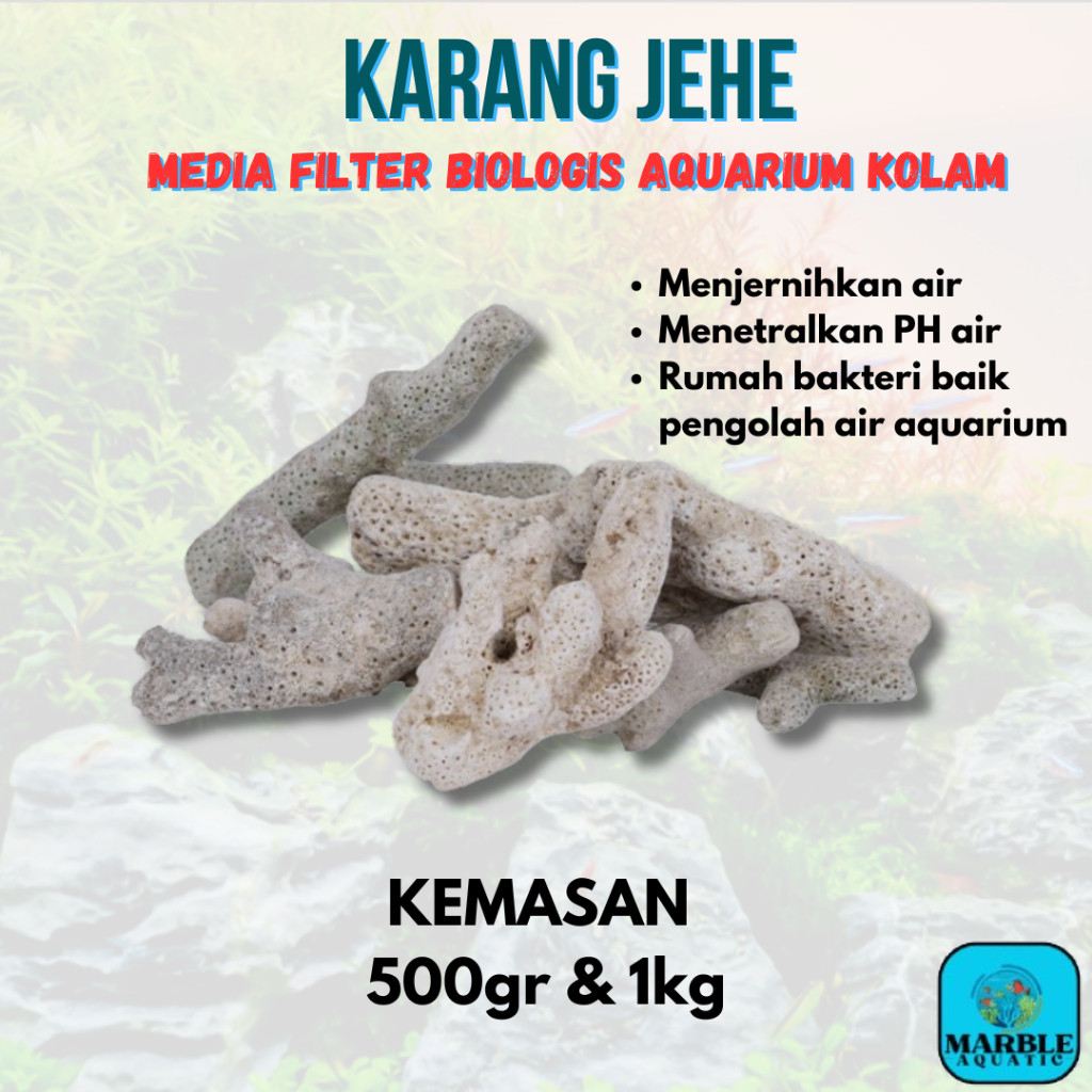 GINGER CORAL 1KG / GINGER CORAL / GINGER CORAL 1KG / SUPER QUALITY GINGER CORAL STONE