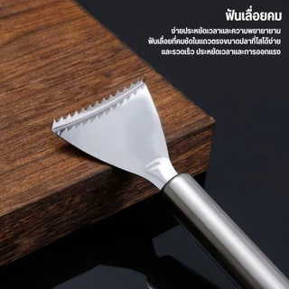 ที่ขูดเกล็ดปลา สแตนเลส ช่วยในการกำจัดเกล็ดปลาทุกชนิดได้อย่างง่ายดาย ขอดเกล็ดปลาง่ายขึ้น